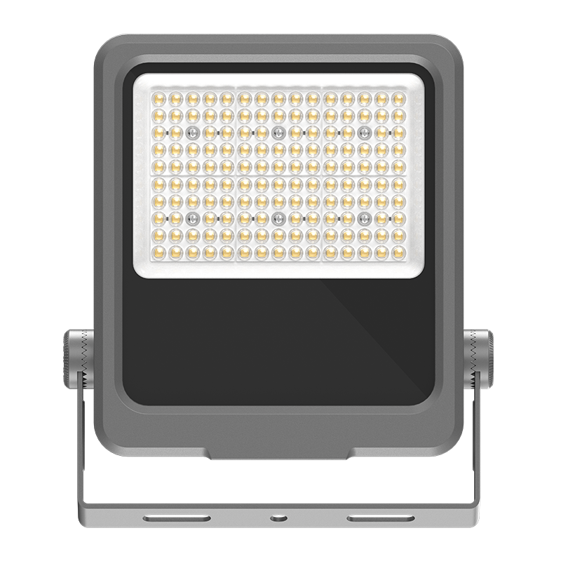 Projecteur LED basse consommation PY-FL02-100W