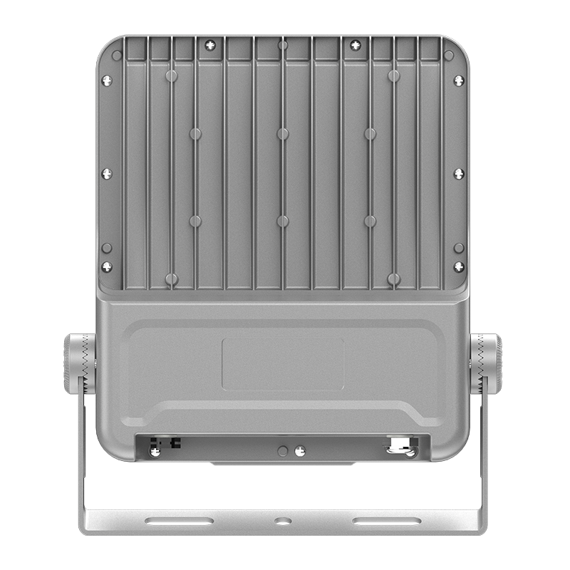 Projecteur LED basse consommation PY-FL02-100W