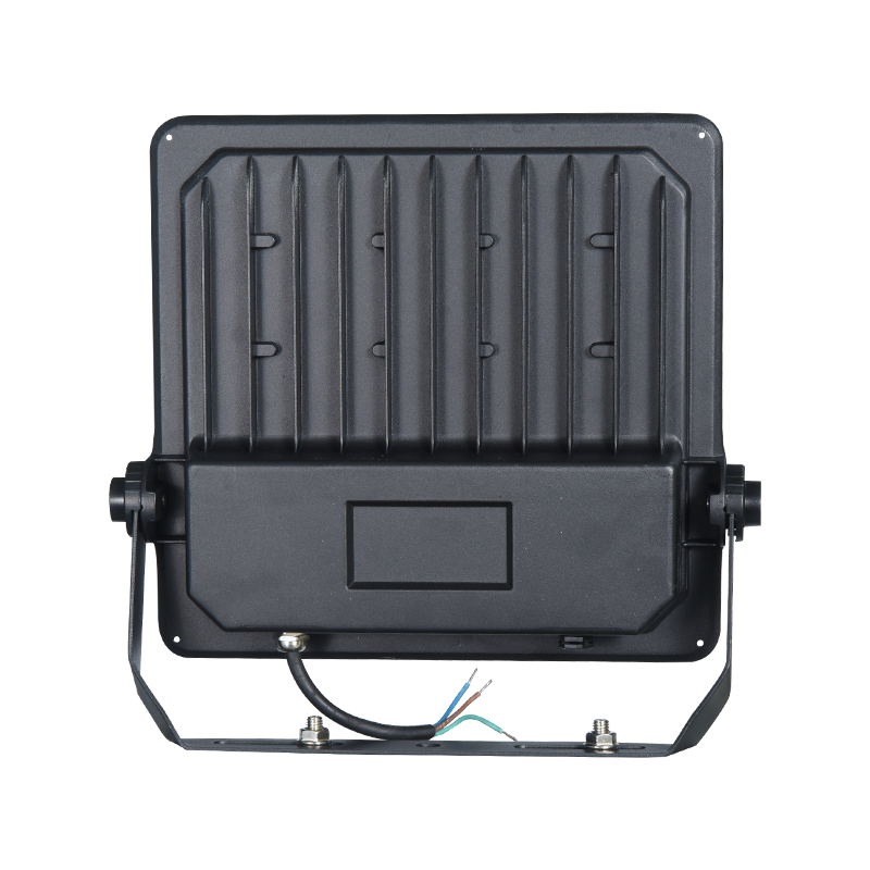 Projecteur écologique de haute qualité PY-BG01-100W