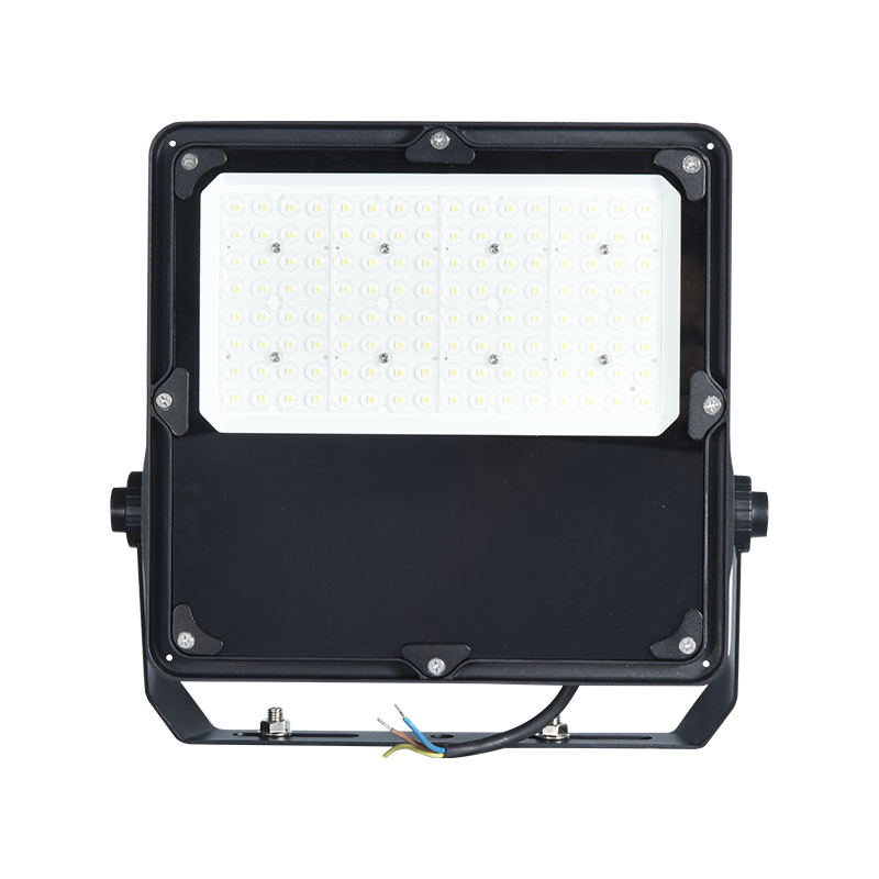 Projecteur écologique de haute qualité PY-BG01-100W