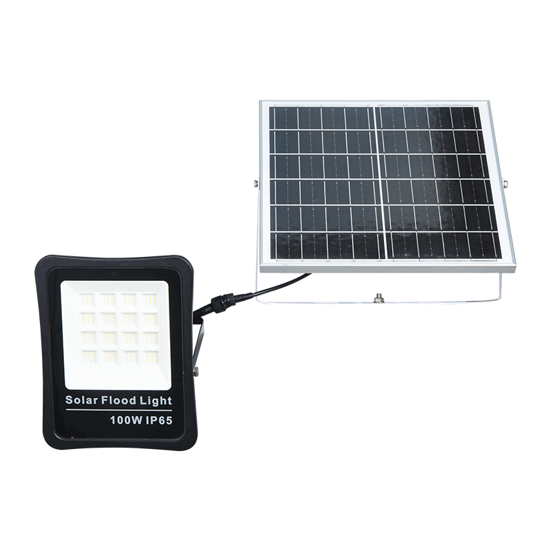 Projecteur solaire extérieur à faible consommation d'énergie PY-SLFL30-100W