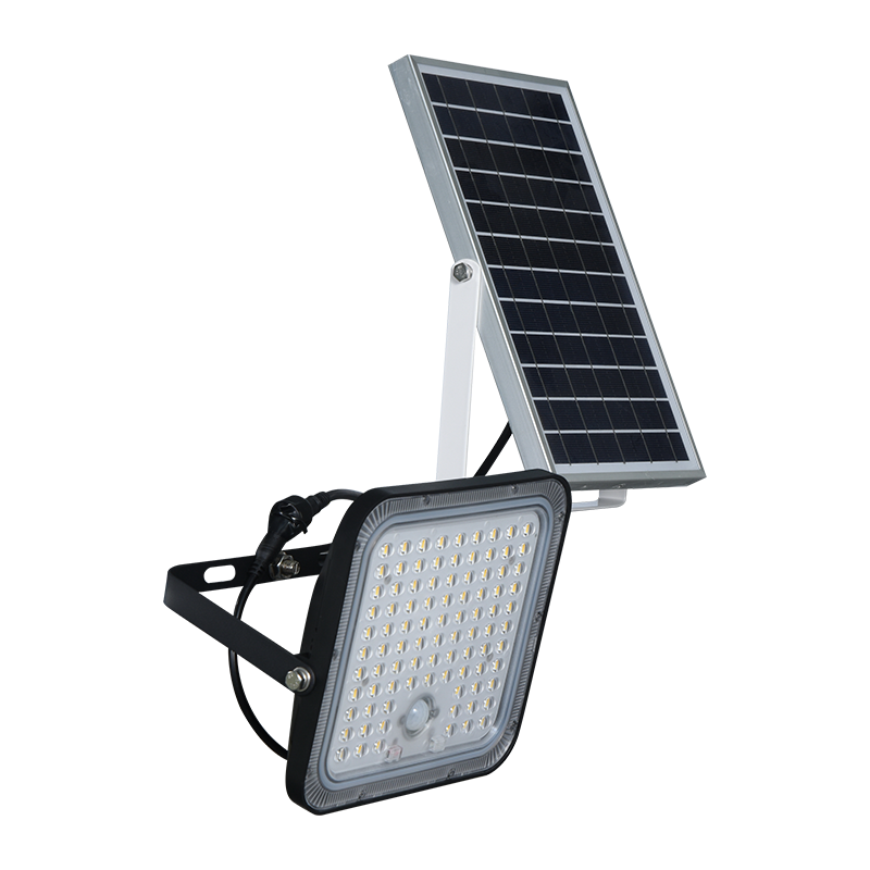 Projecteur solaire à batterie lithium-ion PY-SLFL60