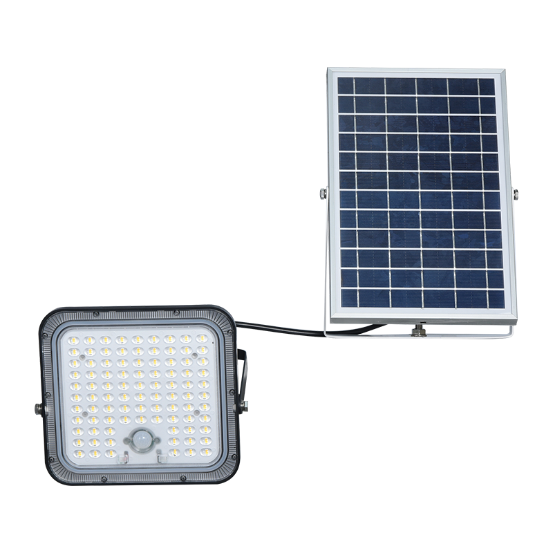 Projecteur solaire à batterie lithium-ion PY-SLFL60